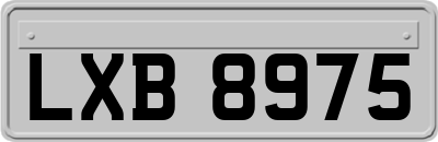 LXB8975
