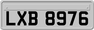 LXB8976