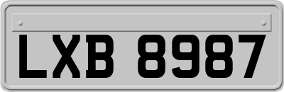 LXB8987
