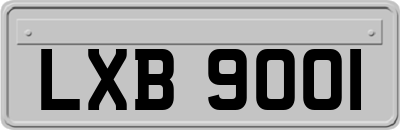 LXB9001