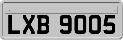LXB9005