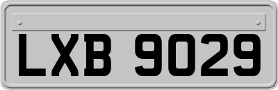 LXB9029