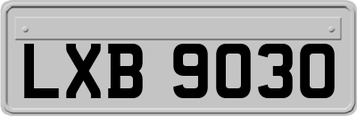 LXB9030