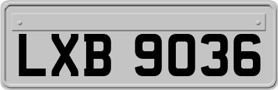LXB9036