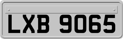 LXB9065