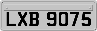 LXB9075