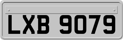LXB9079
