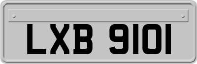 LXB9101