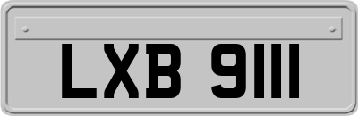 LXB9111