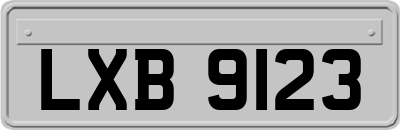 LXB9123