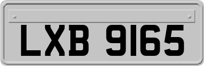 LXB9165