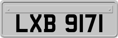 LXB9171