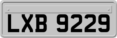 LXB9229