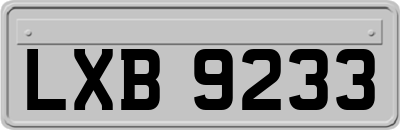 LXB9233