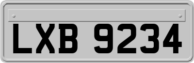LXB9234
