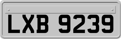 LXB9239