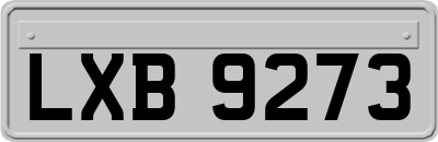 LXB9273