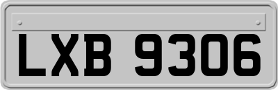 LXB9306
