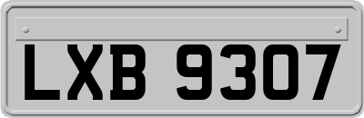 LXB9307