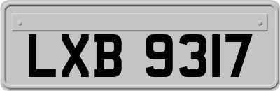 LXB9317