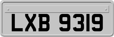 LXB9319