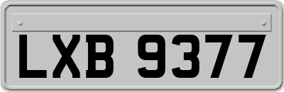 LXB9377