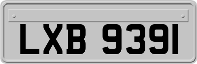 LXB9391