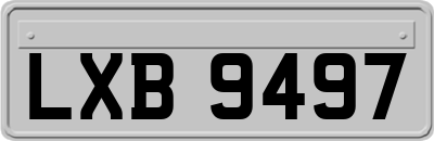 LXB9497