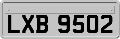 LXB9502