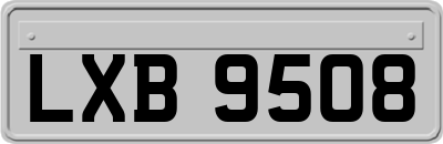 LXB9508