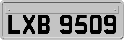 LXB9509