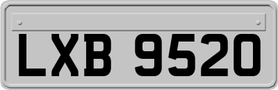 LXB9520