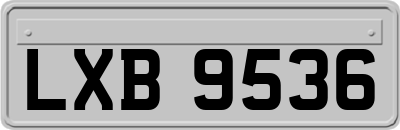 LXB9536