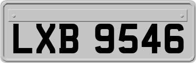 LXB9546