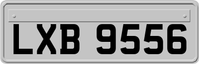 LXB9556