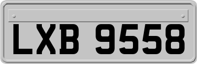 LXB9558
