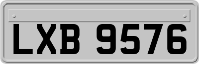 LXB9576