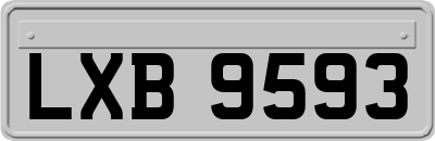 LXB9593