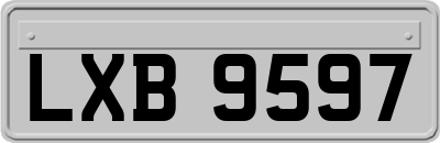 LXB9597