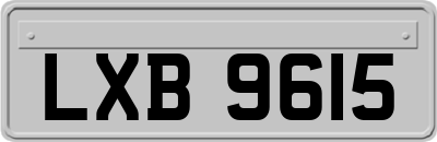 LXB9615