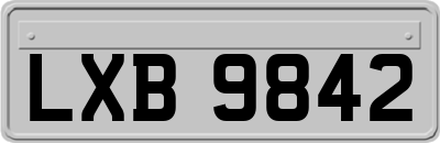 LXB9842
