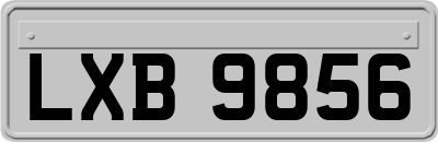 LXB9856