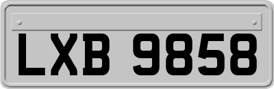 LXB9858