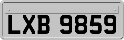 LXB9859