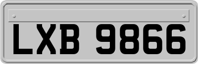 LXB9866