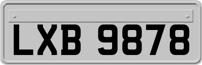 LXB9878