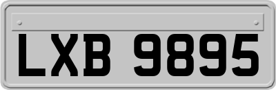 LXB9895