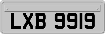 LXB9919