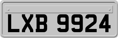 LXB9924
