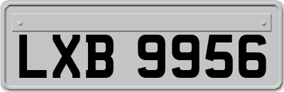 LXB9956